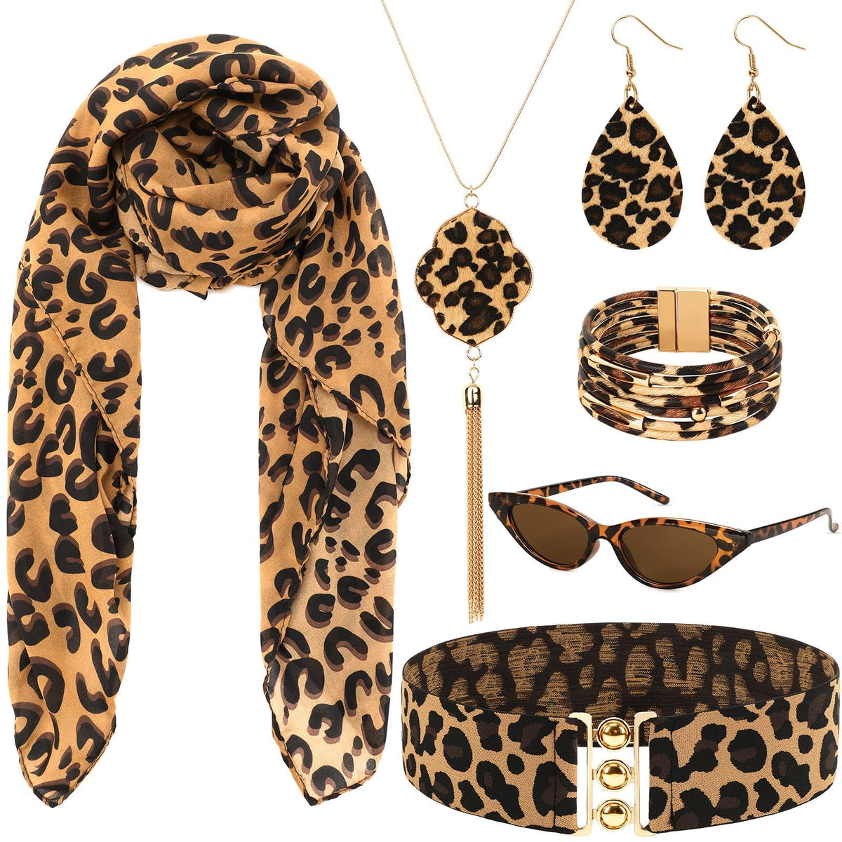 DTOFOOT 6 Pcs Leopard Print Accessories Set, Cheetah Jewelry Gift for Women